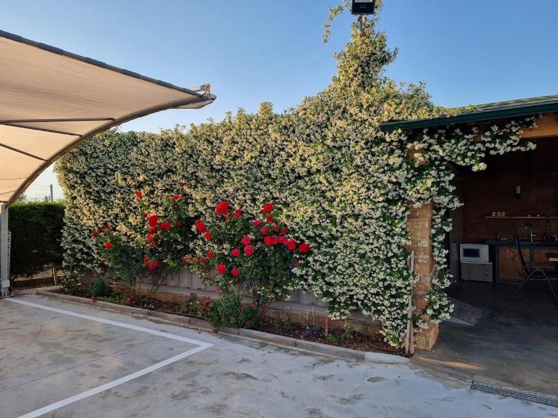 Villas Mamas Beach Άγιος Μάμας Εξωτερικό φωτογραφία
